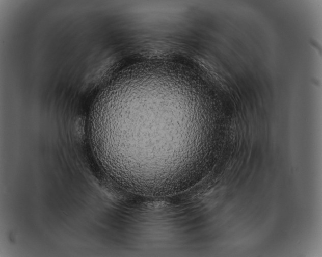 X0000091700695200709071349