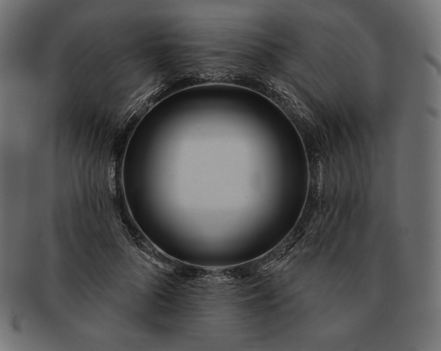 X0000091700696200709071349