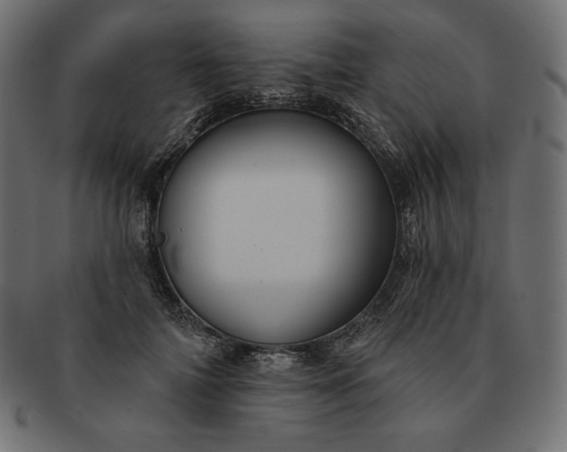 X0000091700698200709071349