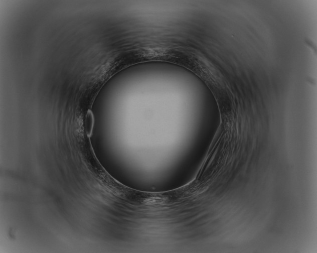 X0000091700700200709071349