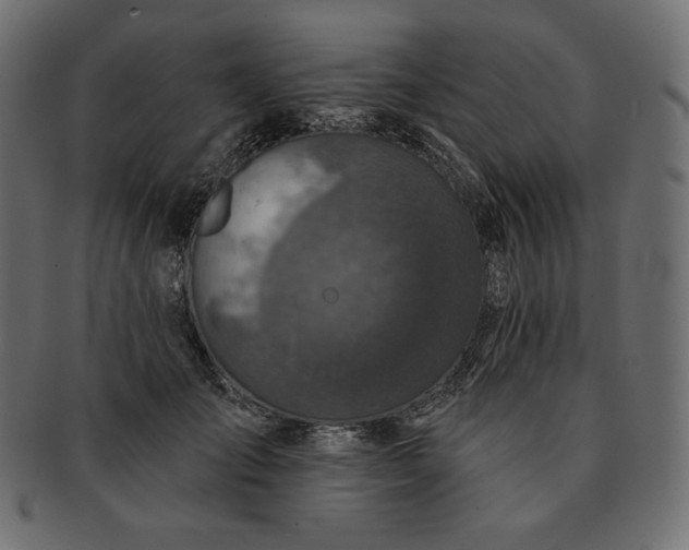 X0000091700701200709071349