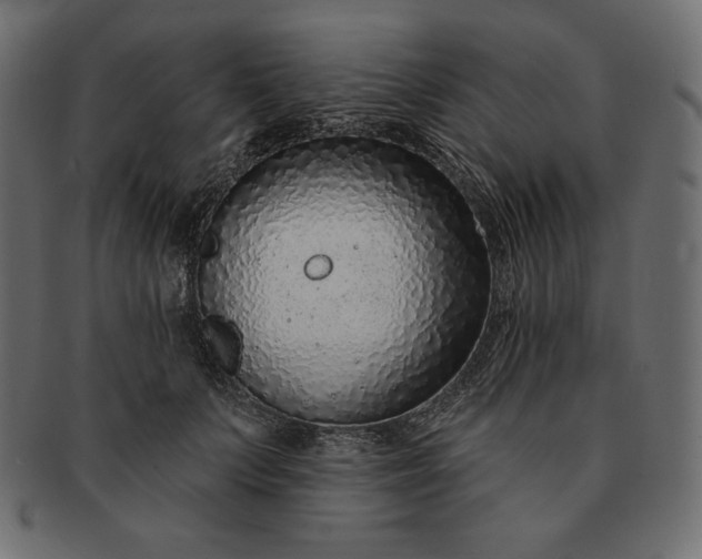 X0000091700703200709071349