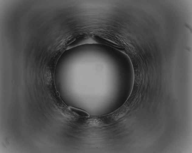 X0000091700704200709071349