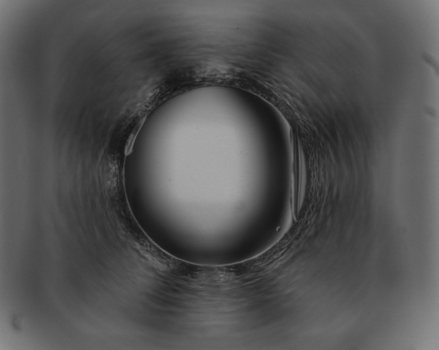 X0000091700708200709071349