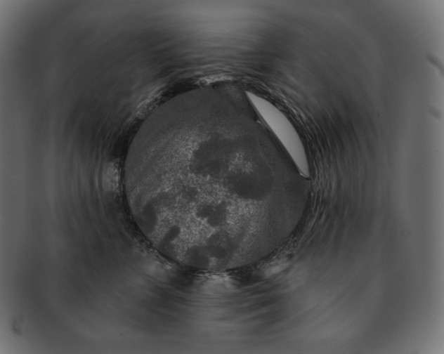 X0000091700715200709071349