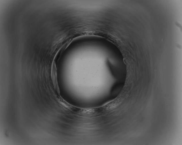 X0000091700720200709071349