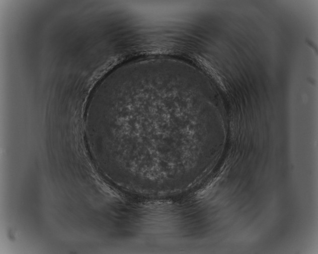 X0000091700721200709071348