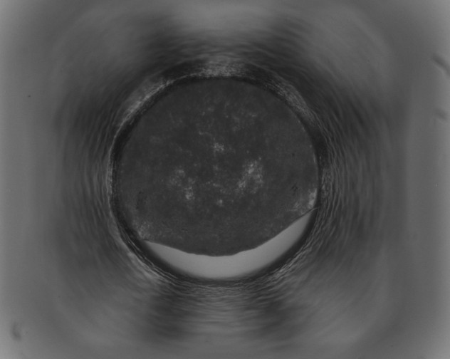 X0000091700722200709071348