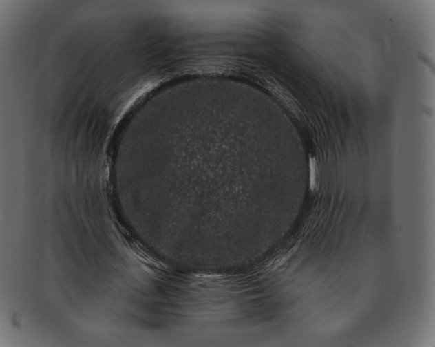 X0000091700723200709071348