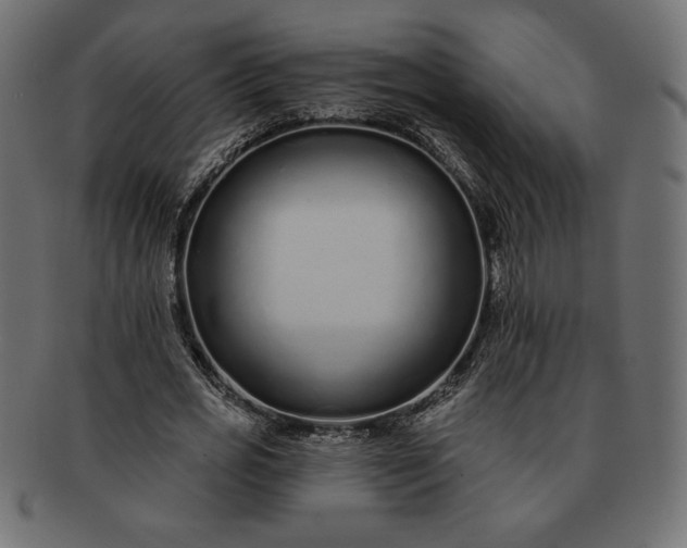 X0000091700725200709071348