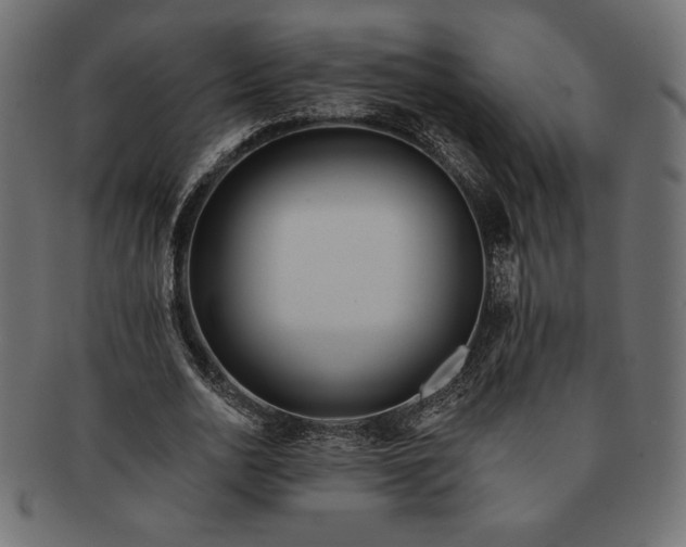 X0000091700726200709071348