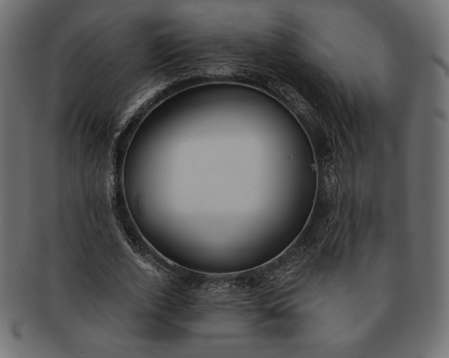 X0000091700728200709071348