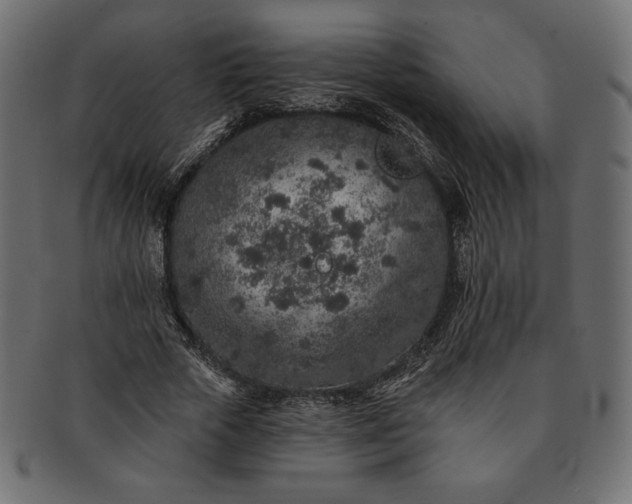 X0000091700729200709071348