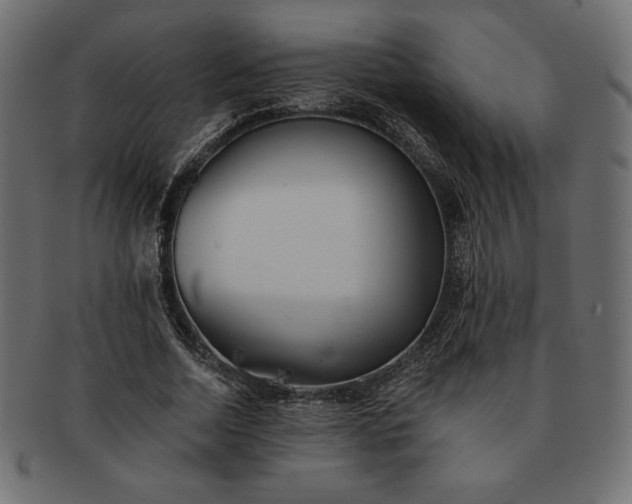 X0000091700730200709071348