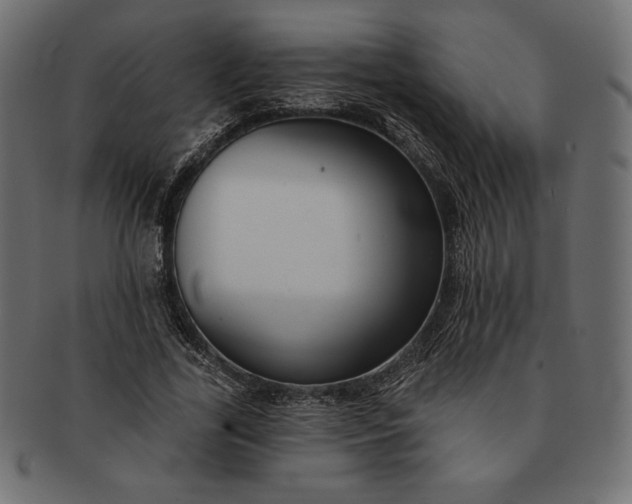 X0000091700731200709071348