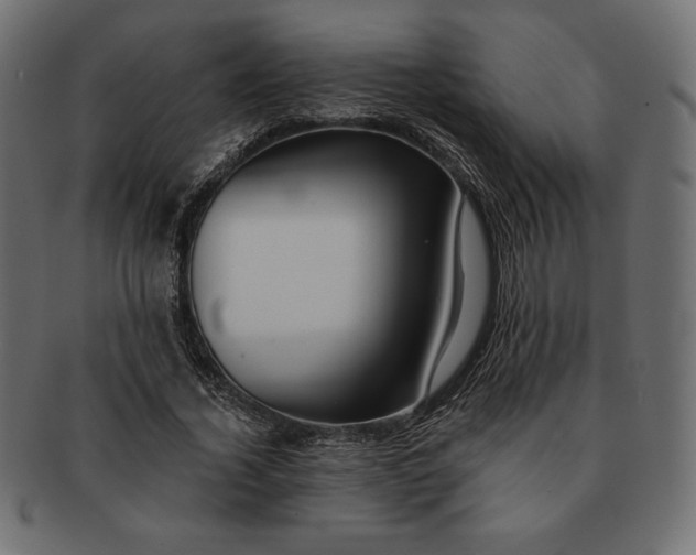 X0000091700732200709071348