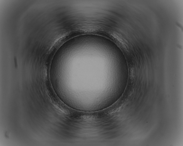 X0000091700733200709071348