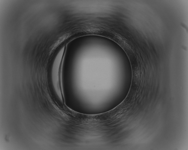 X0000091700734200709071348