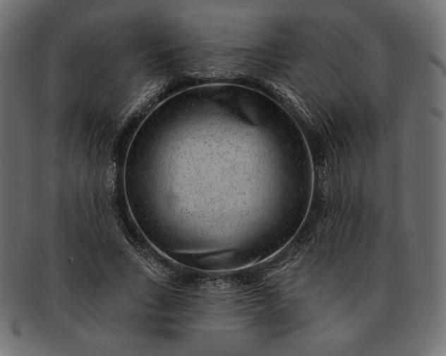 X0000091700735200709071348