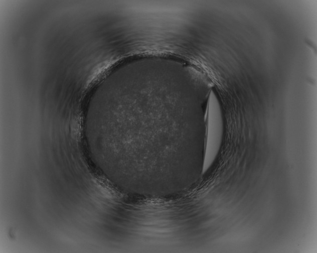 X0000091700736200709071348