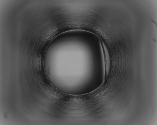 X0000091700739200709071348