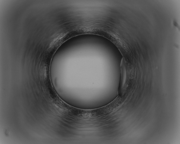 X0000091700740200709071348