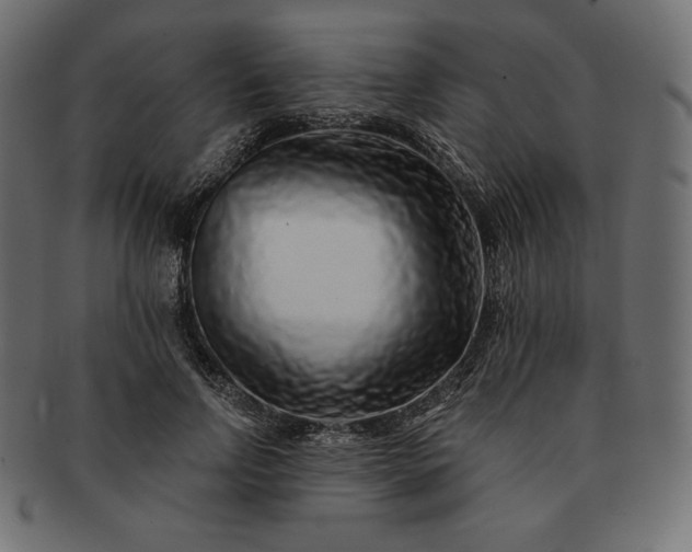 X0000091700742200709071348