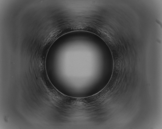 X0000091700743200709071348