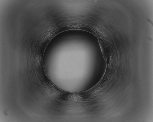 X0000091700747200709071348