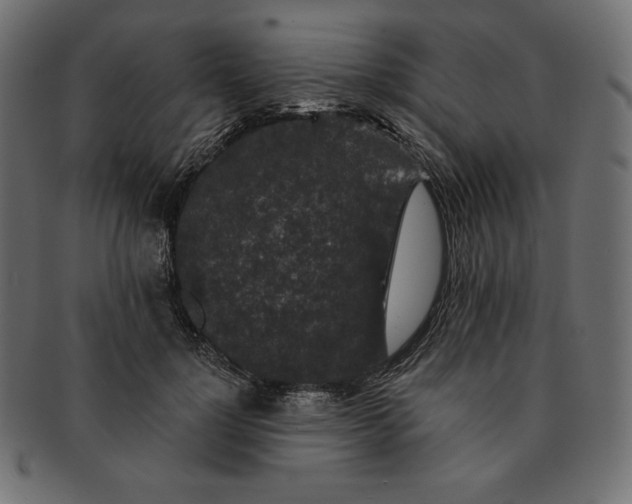 X0000091700748200709071348