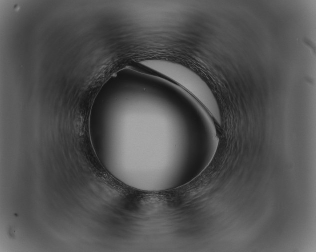 X0000091700750200709071349