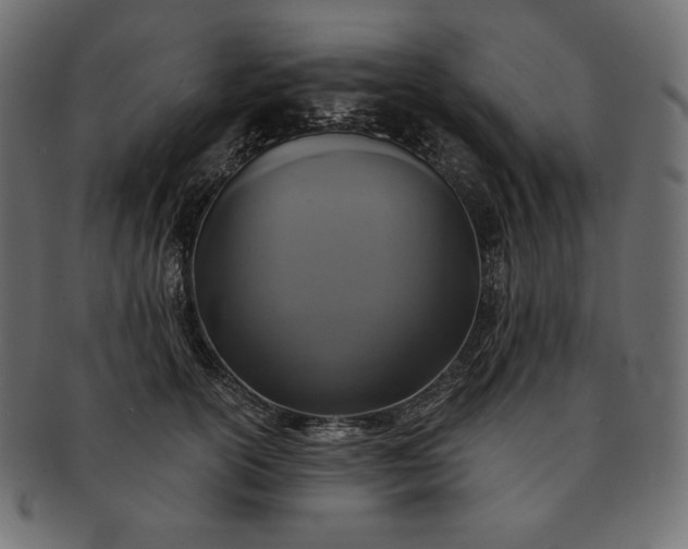 X0000091700754200709071349