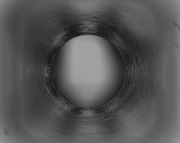 X0000091700755200709071349