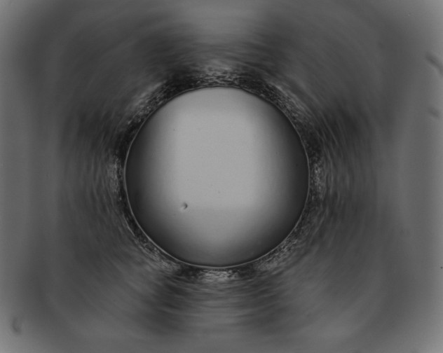 X0000091700757200709071349