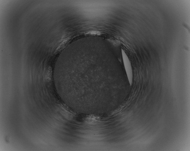 X0000091700760200709071349