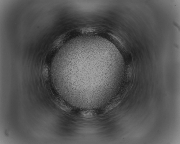 X0000091700761200709071349