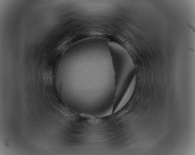 X0000091700762200709071349