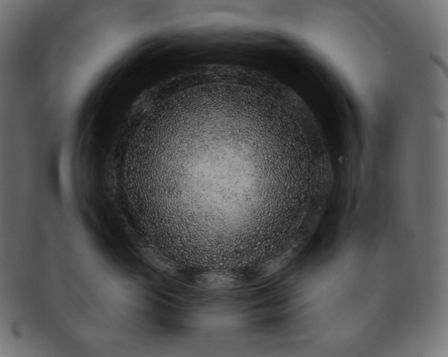 X0000091700765200709071349