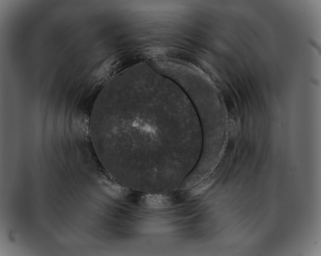 X0000091700766200709071349