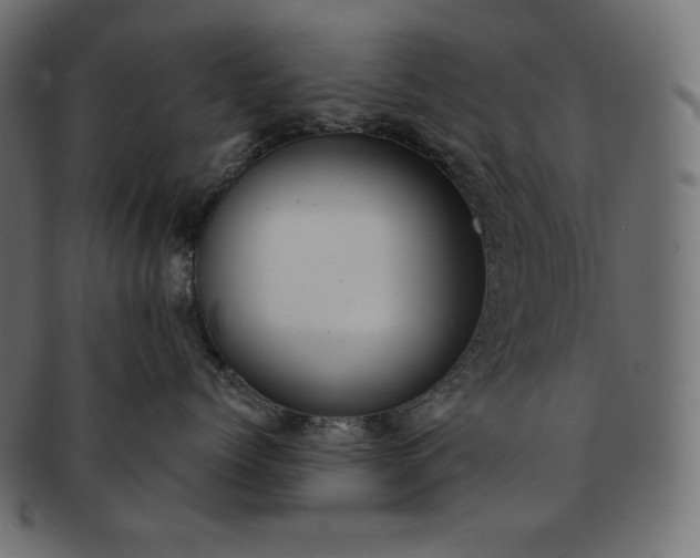 X0000091700768200709071349