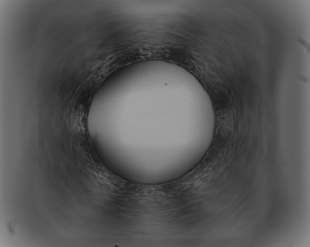 X0000091700770200709071348