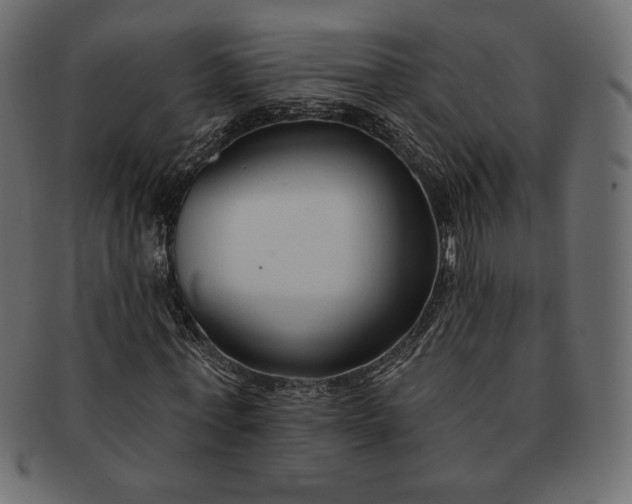 X0000091700771200709071348