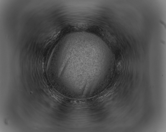 X0000091700772200709071348