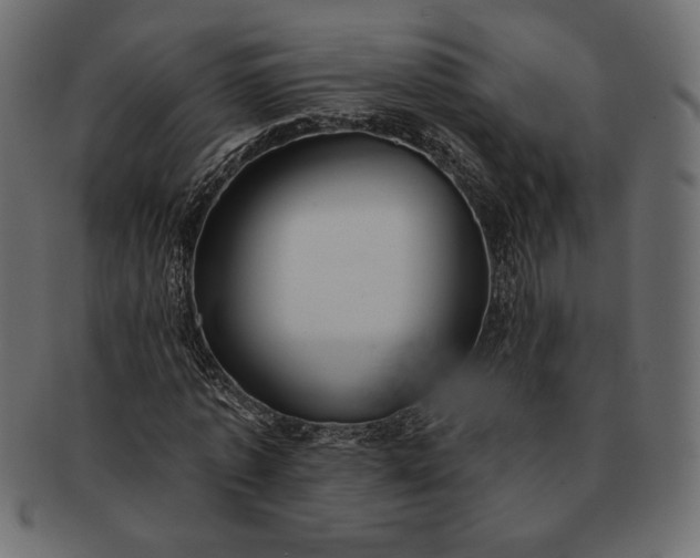 X0000091700773200709071348