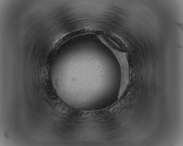 X0000091700776200709071348