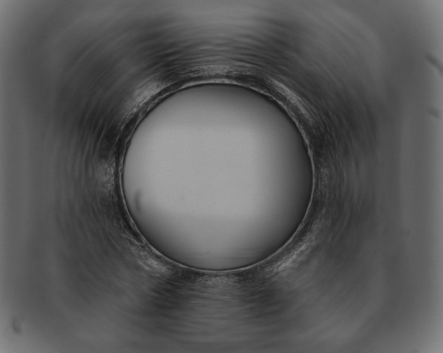 X0000091700778200709071348