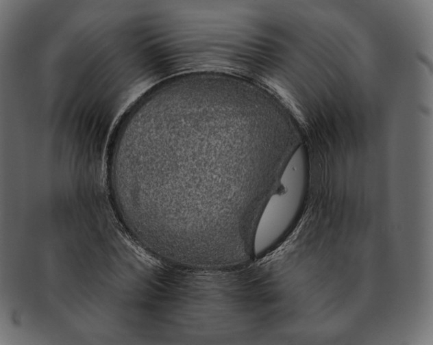 X0000091700780200709071348