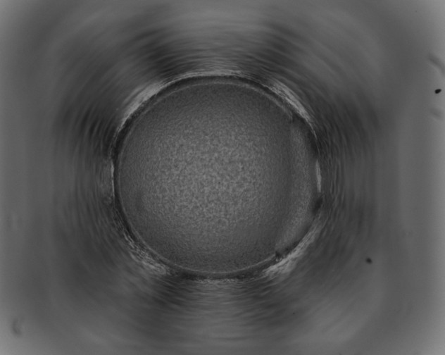 X0000091700781200709071348