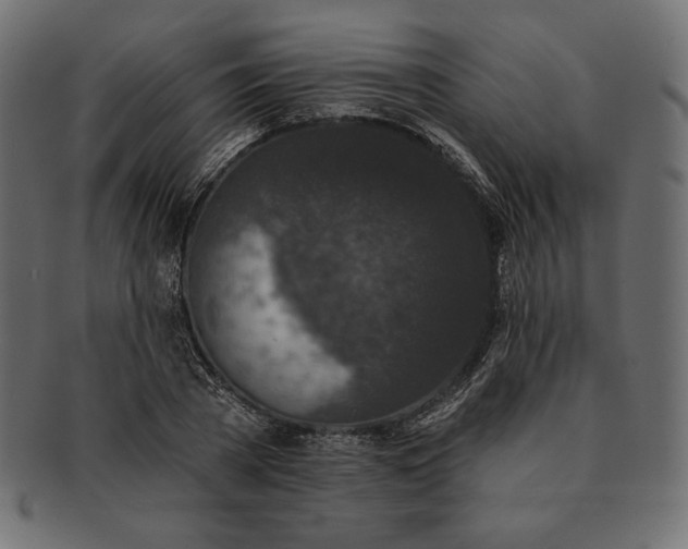 X0000091700785200709071348