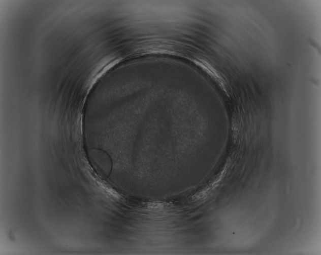 X0000091700790200709071348